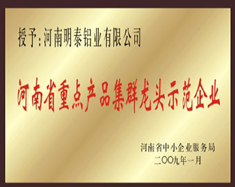 河南省重點(diǎn)產(chǎn)品集群龍頭示范企業(yè)